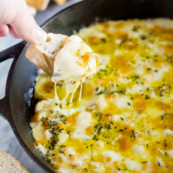 garlic-herb-fontina-cheese-dip